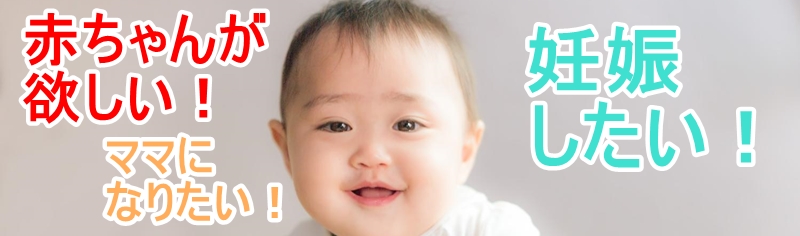 �C�\���R���t�_400�ʂ��v���X���T�C�g